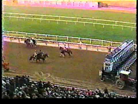1979 Jockey Club Gold Cup + pre/post race