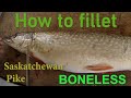 Video Thumbnail for Catch ‘n Cook: Boneless Pike Saskatchewan Style