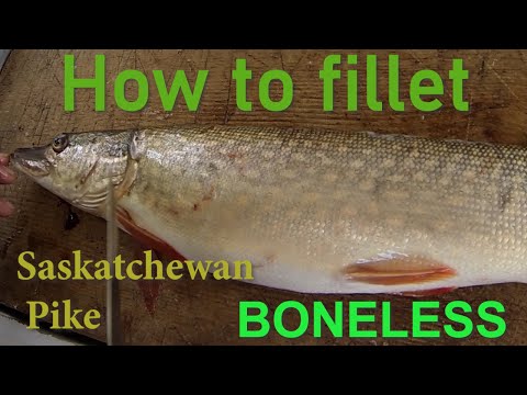 Catch ‘n Cook: Boneless Pike Saskatchewan Style