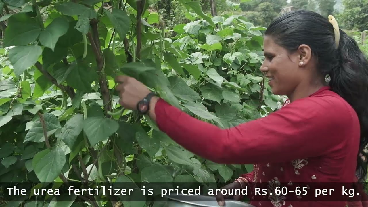 Nepal Regenerative Travel Project