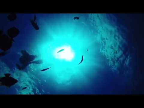 Maldives: Blue Ocean Snorkeling