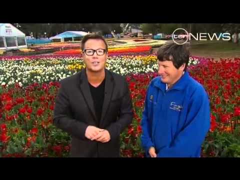 Tim's Weather 10/10/2011