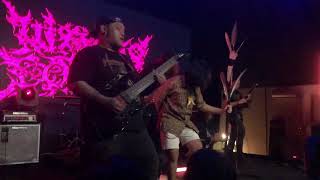 Download lagu NIMANG ENSERA - TUM KETUMBA [LIVE] mp3