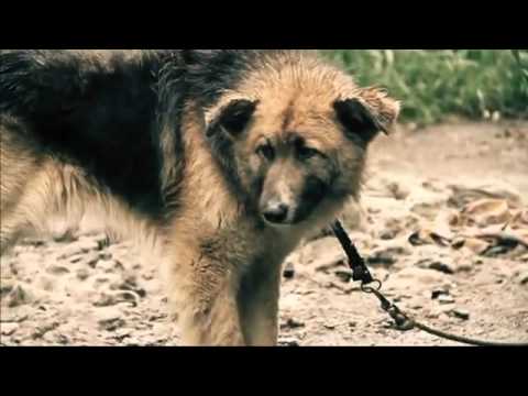 DeFuckTo feat. Peja - Reality Show