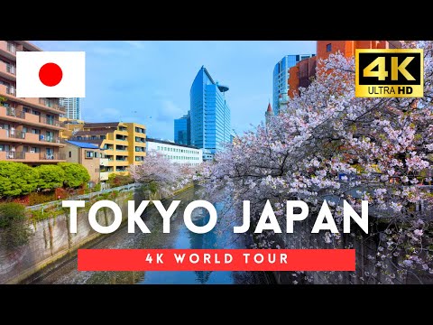 Tokyo 2024 - 3 Hour Walk in Meguro, Shibuya, Japan【4K HDR】
