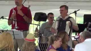 The Knewz (2015) - Going Ahead Polka