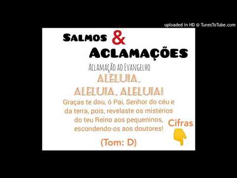 ALELUIA - GRAÇAS TE DOU Ó PAI SENHOR DO CÉU E DA TERRA (Melodia 3 - Salmos e Aclamações) - CATÓLICA