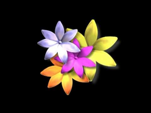 Beautiful flower wallpaper background animated