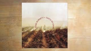 T Bone Burnett - Sweet Lullaby (fixed)