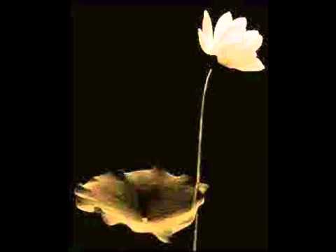 Kamal Forever - Amir vs 2pac Nafas (remix).wmv