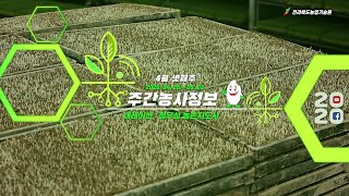 [ 주간농사정보 ]  4월 넷째주