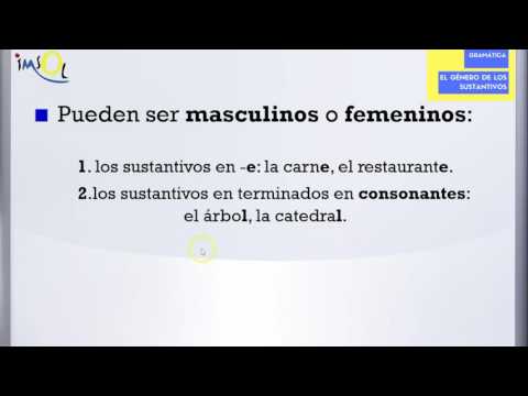 Lección Gramática de Español: El Género de los sustantivos