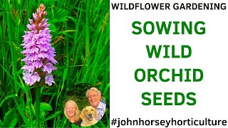 HOW TO SOW WILD ORCHID SEEDS IN YOUR WILDLIFE GARDEN