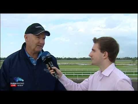 Interview Trainer David Hayes from Horse Tashbeeh