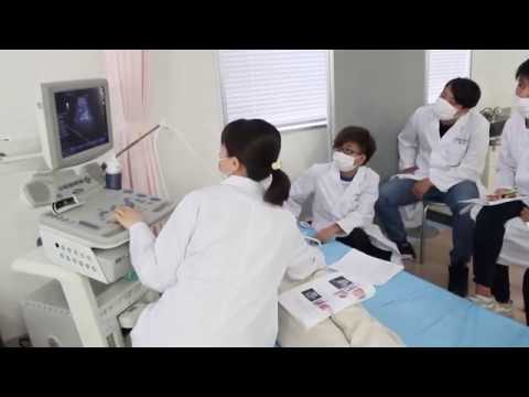 【純真学園大学】医療工学科　学内実習風景【医療工学科】