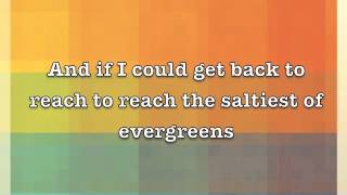 Swing Tree by Discovery