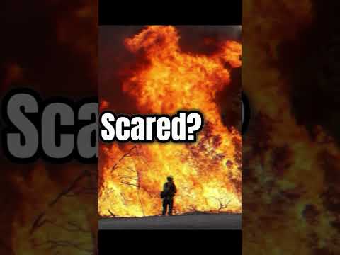 Not scared #scorpione #scorpion #danger #andiamoneiperte #perte #foryou #shorts