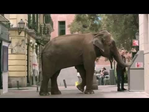 Publicidade do Memofante