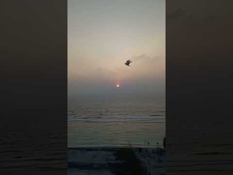 Sound for Sleepp Rain!! | Relaxing with View Beach