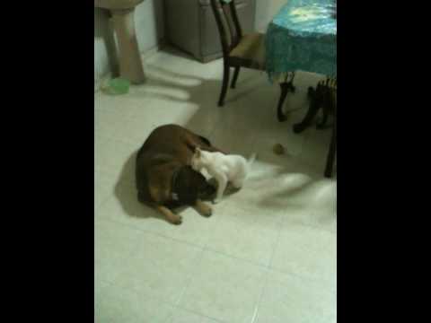 KAbilan enjoying himself!