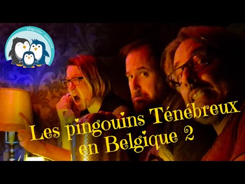 Aperçu de la vidéo