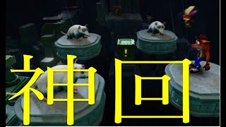「クラッシュバンディクー２」クラッシュ２をやる期待の大型ルーキー達「2人実況」part9