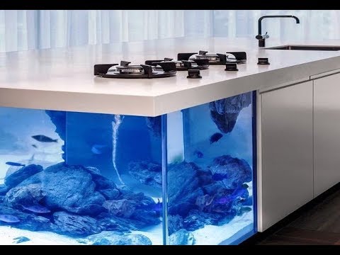 download lagu mp3 mp4 Fish Tank Kitchen Island, download lagu Fish Tank Kitchen Island gratis, unduh video klip Fish Tank Kitchen Island