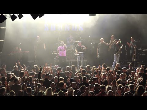 Potato 5 - Sally Brown (live at Freedom Sounds Festival 2024)