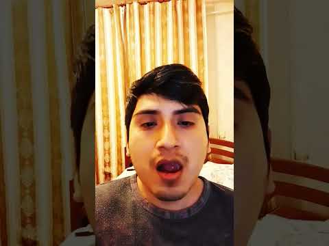 ¿que idioma se habla en AFGANISTÁN?