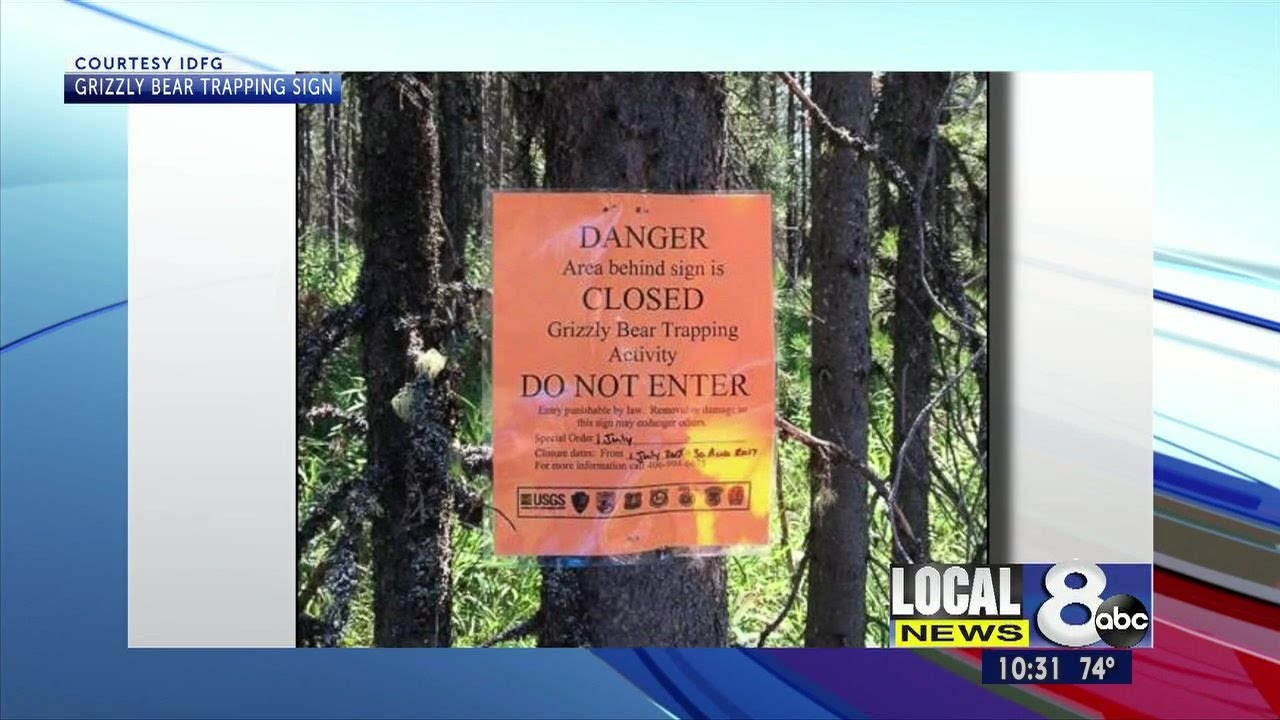 F&G begins annual grizzly bear research trapping in the Caribou-Targhee National Forest