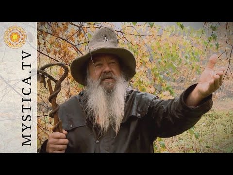 Dr. Wolf-Dieter Storl - On Nature Spirits and Dwarves | MYSTICA.TV