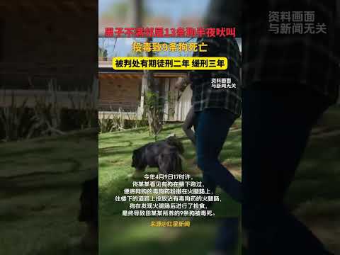 男子不滿鄰居13條狗半夜吠叫 ，投毒致9條狗死亡，被判處有期徒刑二年、緩刑三年。