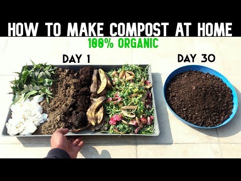 download lagu mp3 mp4 Compost Preparation At Home, download lagu Compost Preparation At Home gratis, unduh video klip Compost Preparation At Home