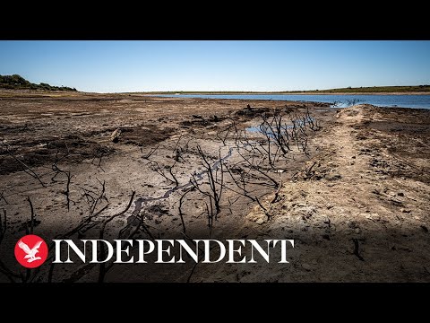 Temperatures continue to rise as parts of UK grapple with impacts of hot, dry summer