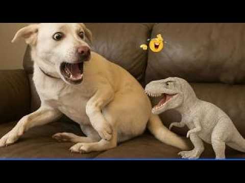 Funny Pet Videos Compilation 😹🐶 Funniest Cat & Dog Moments Ever Recorded.