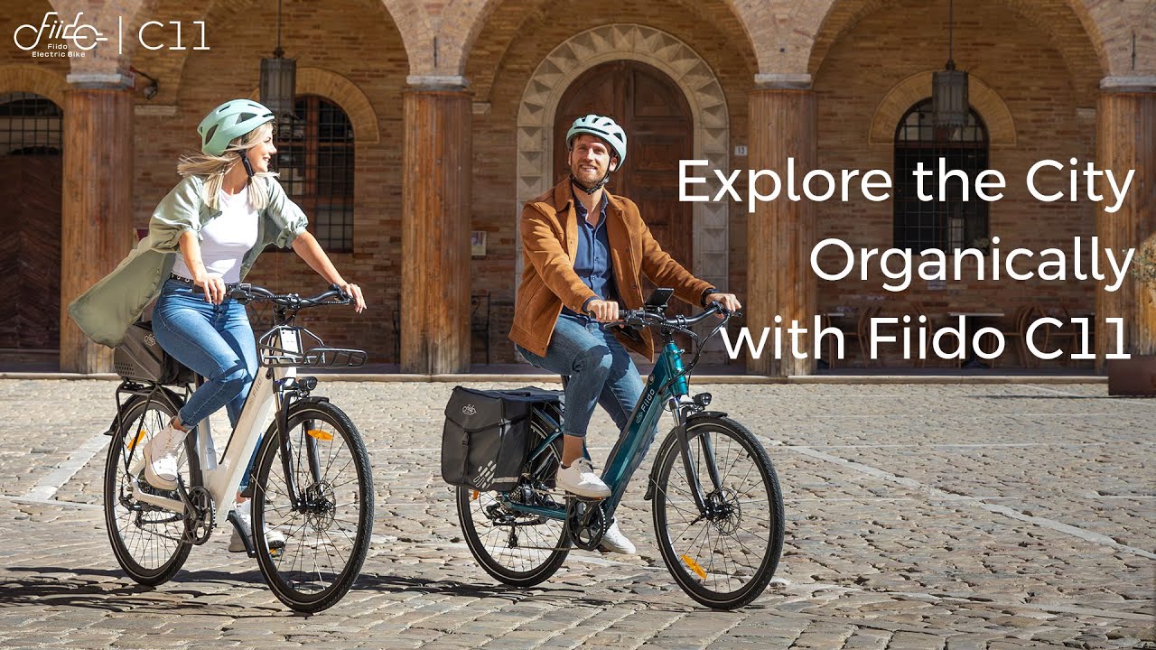 Electric Bike Fiido Low Frame One Size 28 Inches