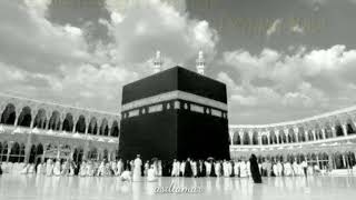 Download lagu STORY WA|| SABYAN - AISYAH ISTRI RASULULLAH #storywa #sabyan #aisyah mp3 Download lagu STORY WA|| SABYAN - AISYAH ISTRI RASULULLAH #storywa #sabyan #aisyah mp3