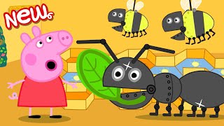 Peppa Pig Tales 🐷 Peppa Learns About Ants And B