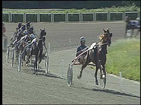 Trotto 02/06/2016 - 4° corsa