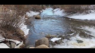 🏞️Beautiful Tributary in Big Bear, CA. Snowmelt is Flowing Into Big Bear Lake, CA 2/26/2026 ⛴️