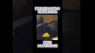 一人でお留守番はさみしいものだ