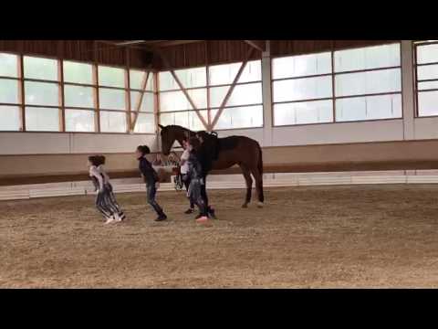 Schwäbische Meisterschaft 2017 M-Gruppe PSV Roggenburg