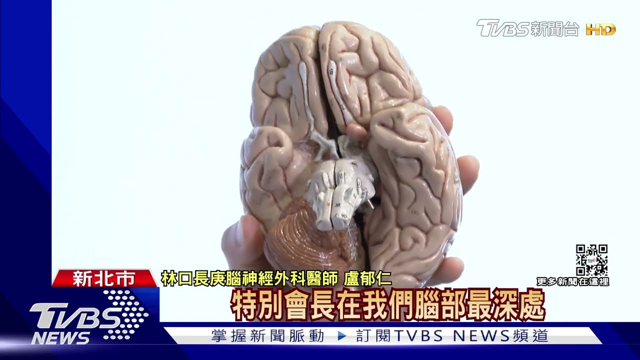 兒童罕見腦癌DIPG「9成患者確診2年逝」　有這些症狀需注意