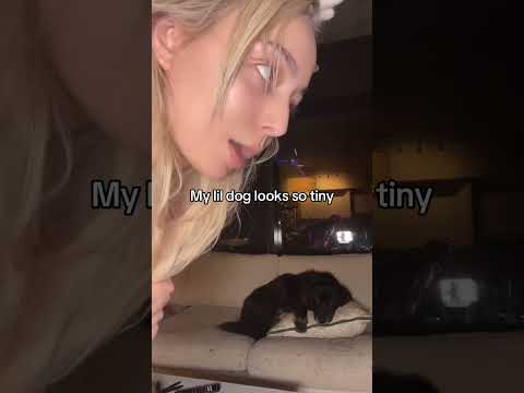 #goon #gooners #goonin #egirlaesthetic #christmasmeme #christmascosplay #viral #praise #cosplaygirl