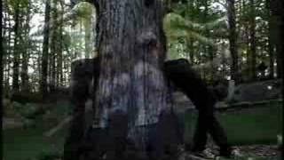 Heart Attack Pact ~American Diary