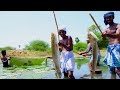 Fish Catching And Cooking Viral Meen Kulambu Snakehead Murrel Fish Curry Recipe Village Food