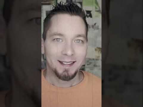 Look at the lonely people😭(Steve Cash talking kitty cat)