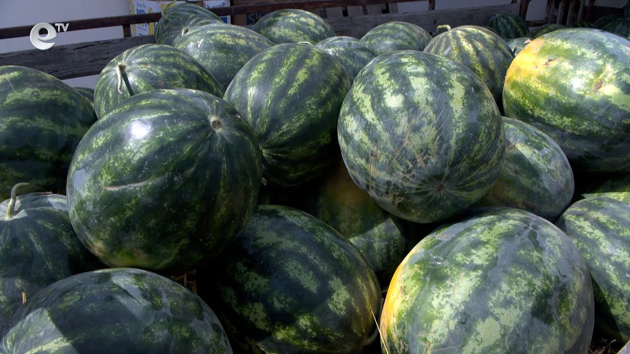 150% е надценката на дините от полето до пазара в Хасково