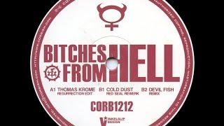 Thomas Krome - Bitches From Hell ( Cold Dust Red Seal Rewerk )