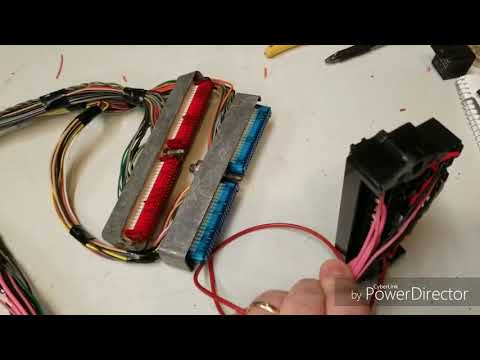 Stand alone ls swap harness fuse block logic.